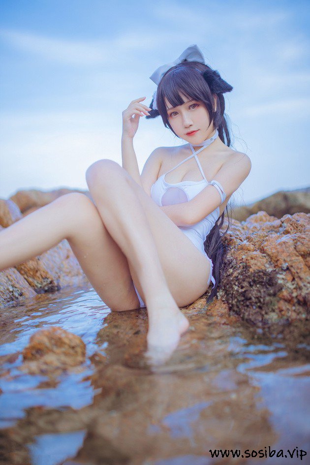 不呆猫 - NO.001 ×抖娘 獒犬海边泳装 [42P-336MB]